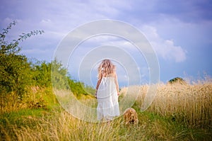 Child and dog walking together among golden summer fields effect of painted picture