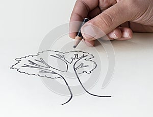 A child drawing a tree with a very short pencil stubØŒ expressin