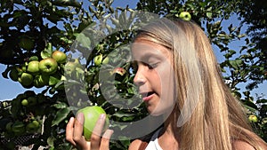 Child Eating Apple, Kid in Orchard, Farmer Girl Studying Fruits in Tree