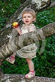 Child eating apple in the tree branches