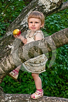 Child eating apple in the tree branches