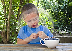 Child eating fresh blueberries