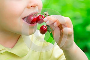 The child eats cherries. Healthy food. Fruits in the garden. Vitamins for children. Nature and harvest.