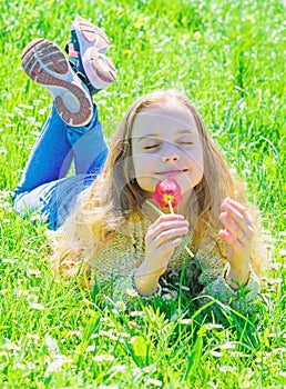 Child enjoy fragrance of tulip while lying at meadow. Girl on peaceful face holds red tulip flower on sunny spring day