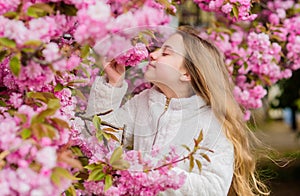 Child enjoy warm spring. Girl enjoying floral aroma. Kid on pink flowers of sakura tree background. Botany concept. Kid