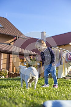 Child enjoying a garden with a dog