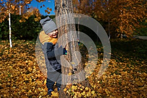 The child enjoys a walk in nature. A little boy peeks out from behind a tree. Playful child in the autumn Park