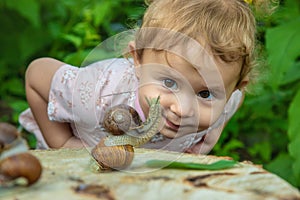 The child examines the snails on the tree. Selective focus.