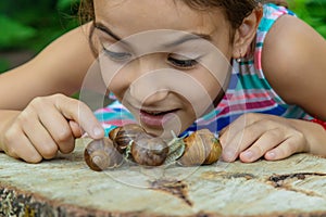 The child examines the snails on the tree. Selective focus.