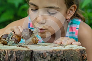 The child examines the snails on the tree. Selective focus.