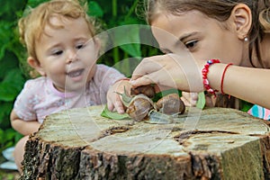 The child examines the snails on the tree. Selective focus.