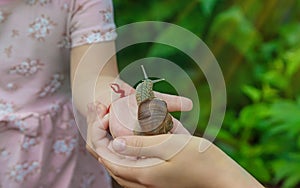 The child examines the snails on the tree. Selective focus.