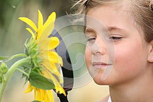 Child examining a sunflower