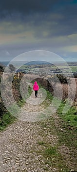 Child Exercising in the countryside walking her dog . Dartmoor Hemerdon ball . Devon uk