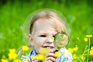 The child explores the grass in the meadow through a magnifying glass. Little girl exploring the flower through the magnifying