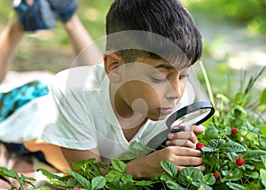 A child explores the plant world through a magnifier