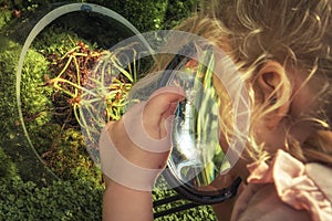 Child exploring plants through magnifier concept children curiosity and biology education