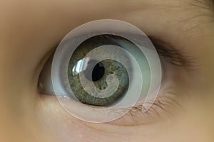 Child eye close up, green iris, gray, ophthalmologist, eyesight