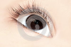 Child Eye closeup