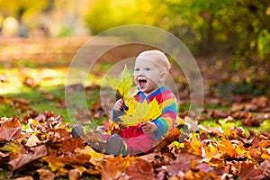 Child in fall park. Kid with autumn leaves.