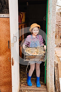 child farmer holds a nest with chicken eggs in his hands in a chicken coop.