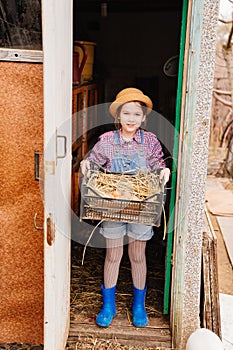 child farmer holds a nest with chicken eggs in his hands in a chicken coop.