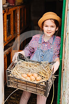 child farmer holds a nest with chicken eggs in his hands in a chicken coop.