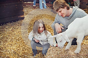 Child and father taming a goat kid