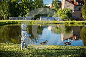 Child feeding birds near pond