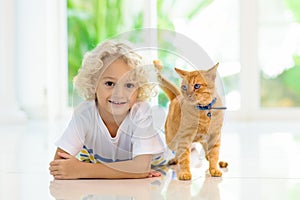 Child feeding home cat. Kids and pets