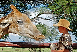 Child Feeding a Giraffe