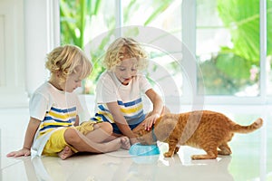 Child feeding home cat. Kids and pets