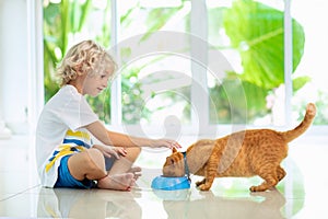Child feeding home cat. Kids and pets