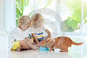 Child feeding home cat. Kids and pets
