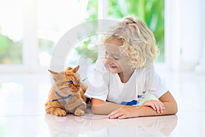 Child feeding home cat. Kids and pets