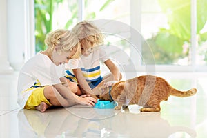 Child feeding home cat. Kids and pets