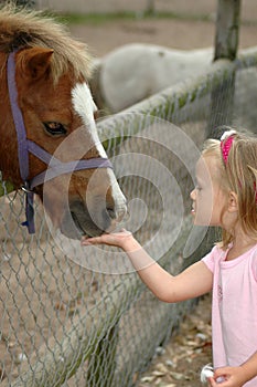 Child feeding pony