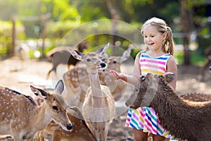 Child feeding wild deer at zoo. Kids feed animals