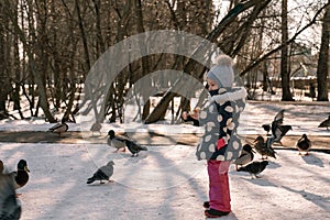 child feeds pigeons and ducks with bread in the yard on a sunny winter day.