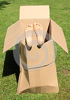 Child feet in box photo
