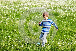 Child field grass boy childhood. kid