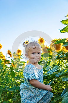 A child in a field of sunflowers. Ukraine. Selective focus.