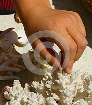 Child fingers touching corals