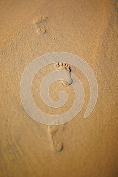 Child footprints in the sand on a beach