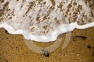 Child footprints on the sand on Black Sea