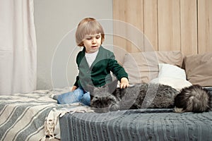 child and a fox lie on the bed, an exotic pet, a predator indoor. Brown fox in the room, care and love for pets