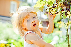 Child in the garden with berries