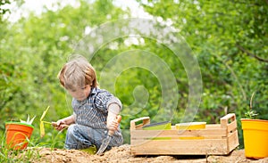 Child in the garden. Organic vegetables.