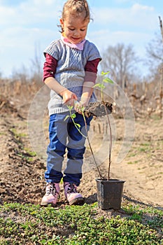 Child gardening