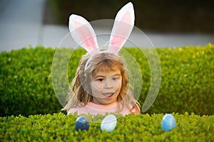 Child gathering eggs, easter egg hunt concept. Children celebrating easter. Excited kid in rabbit costume with bunny
